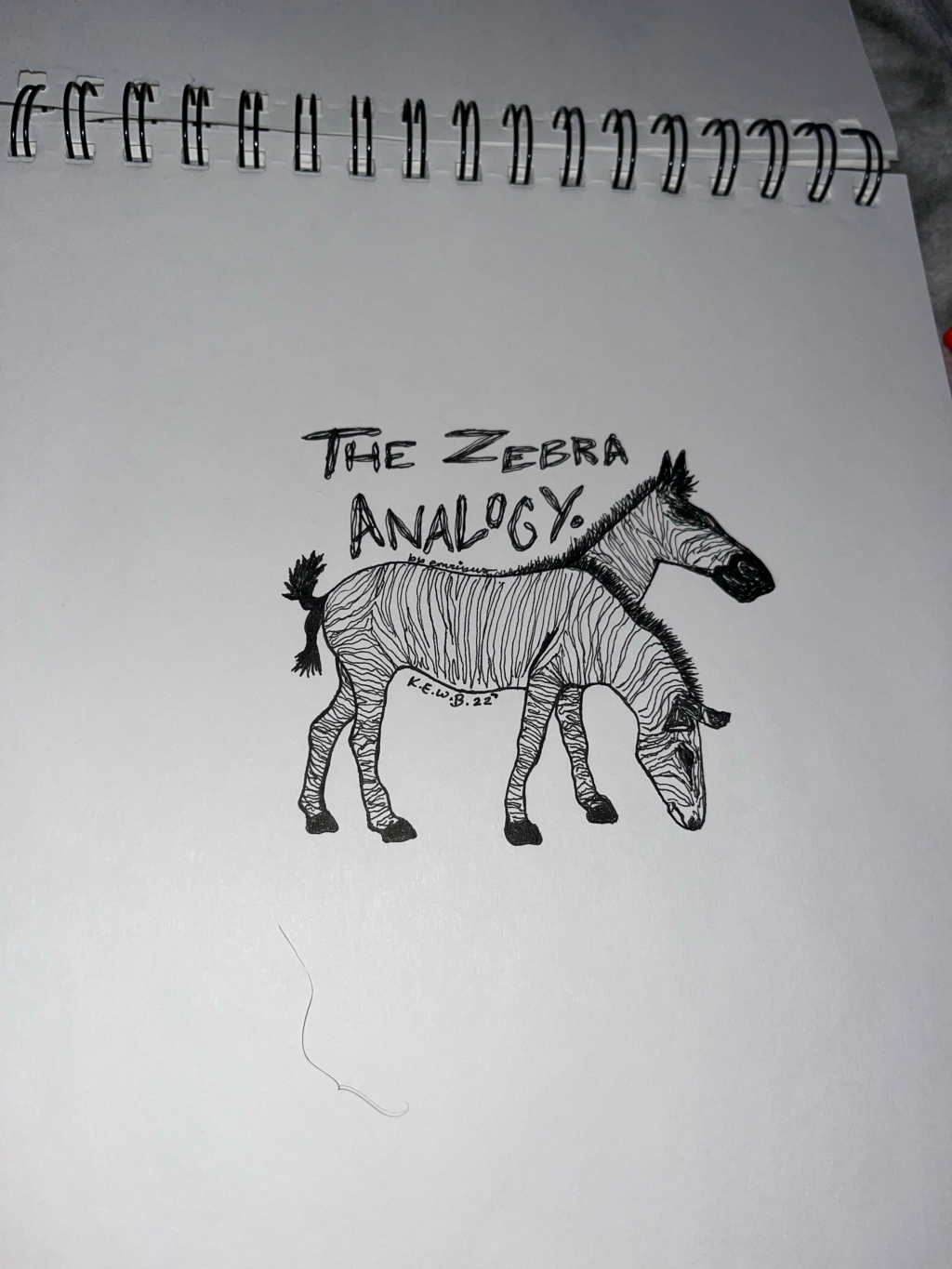 The Zebra Analogy