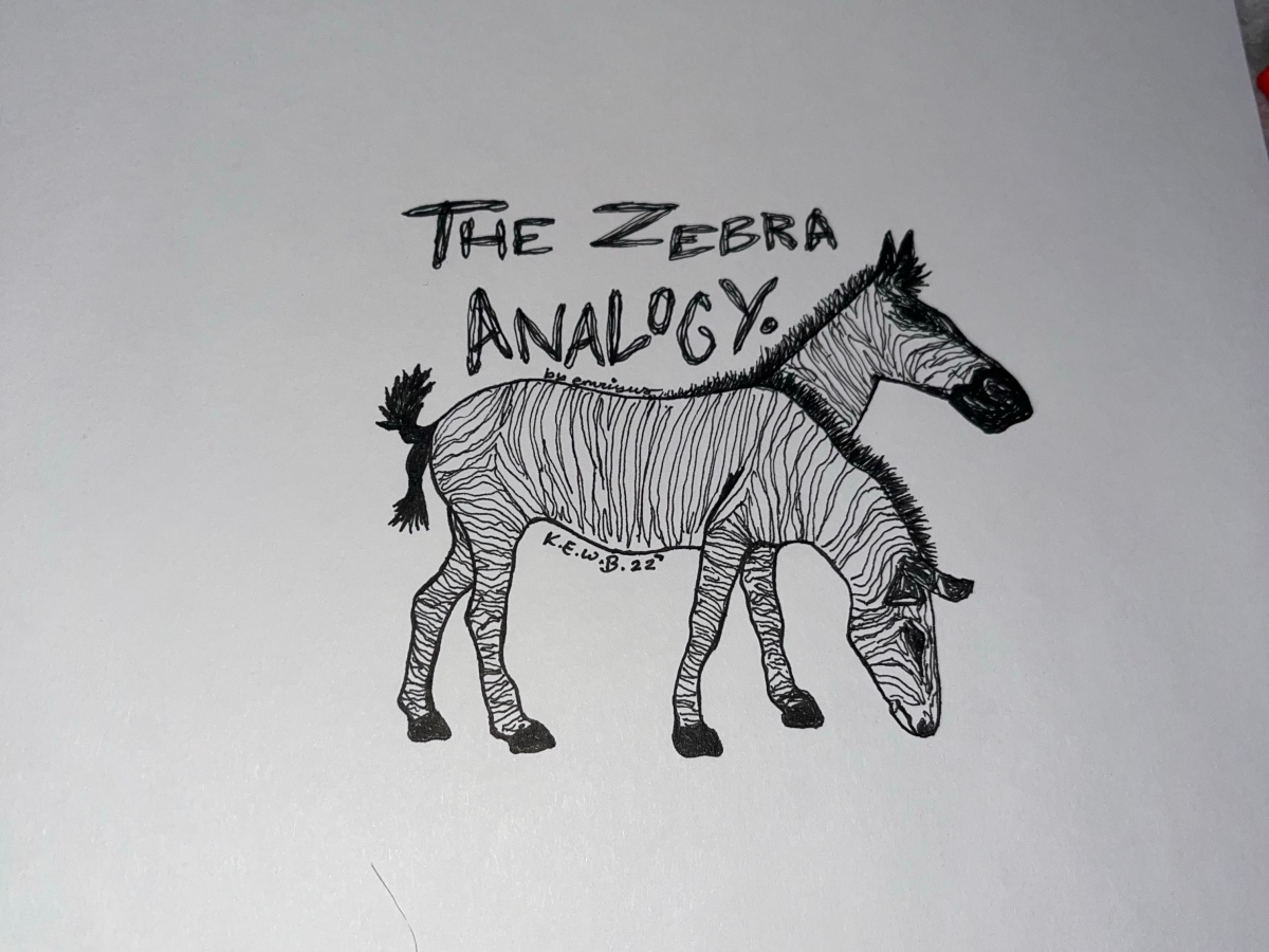 The Zebra Analogy